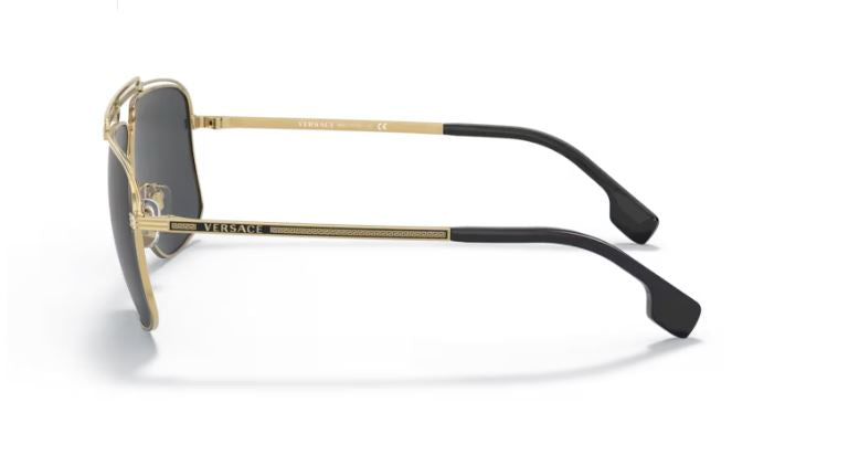 VERSACE VE2242 100287