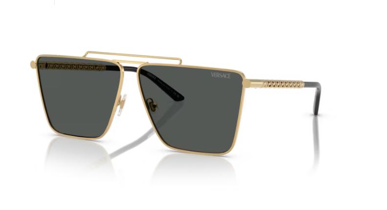 VERSACE VE2266 100287