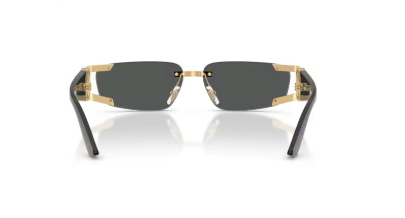 VERSACE VE2291 100287