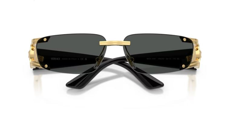 VERSACE VE2291 100287