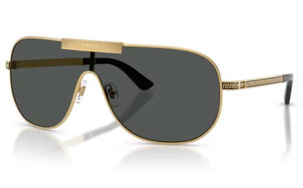 VERSACE VE2293 100287