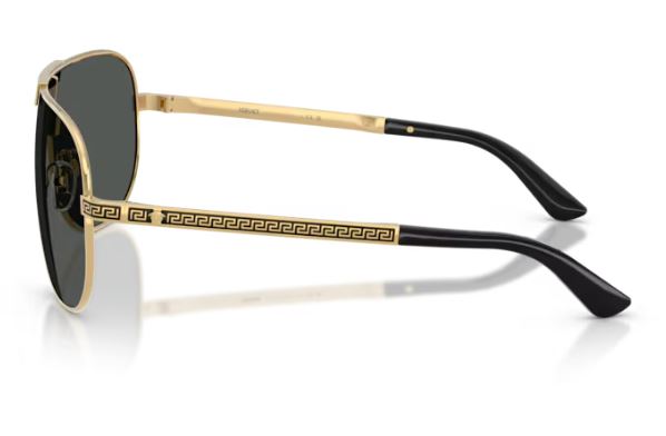 VERSACE VE2293 100287