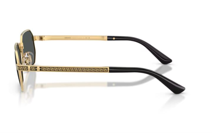 VERSACE VE2297 100287