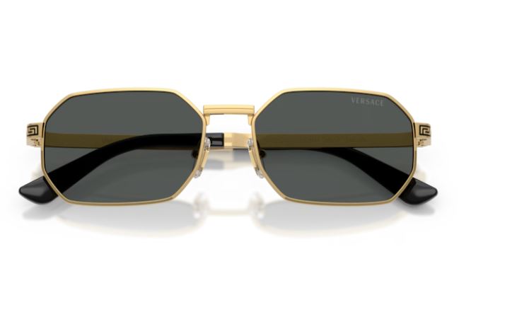 VERSACE VE2297 100287