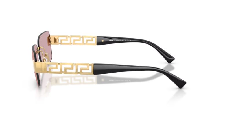 VERSACE VE2298 10021T