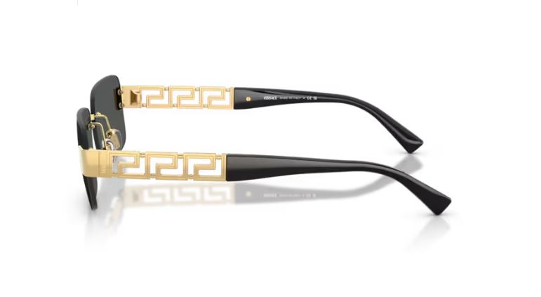 VERSACE VE2298 100287