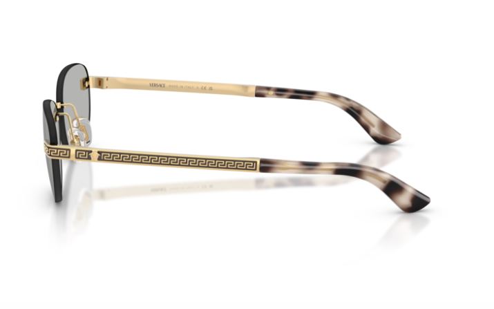 VERSACE VE2307 15238V