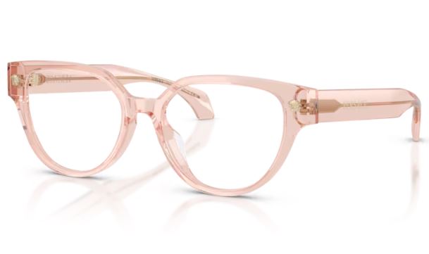 VERSACE VE3394D 5339