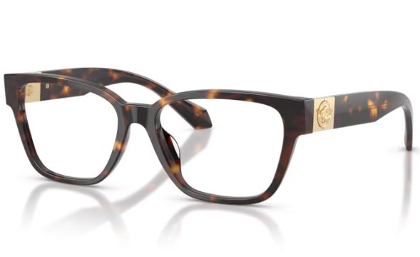VERSACE VE3401U 108