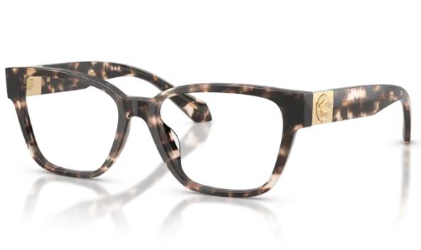 VERSACE VE3401U 5498