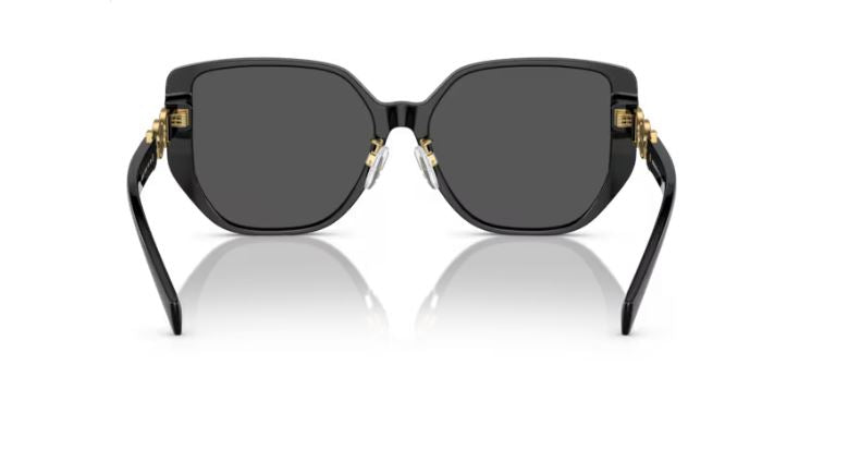 VERSACE VE4449D GB187