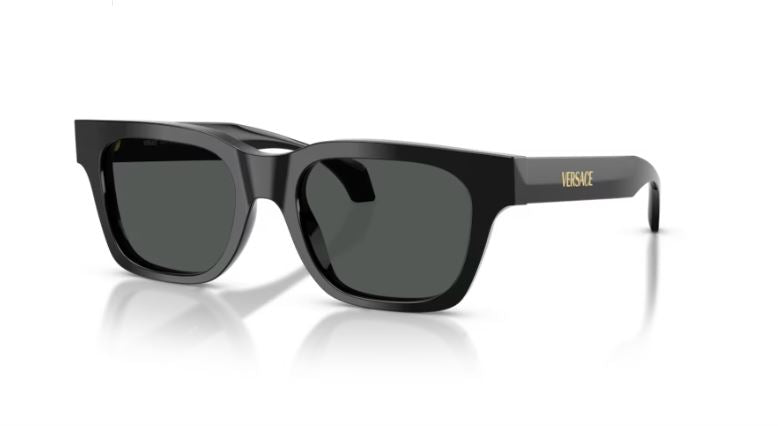 VERSACE VE4486 GB187