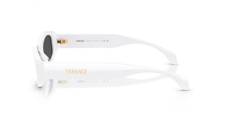 VERSACE VE4487 31487