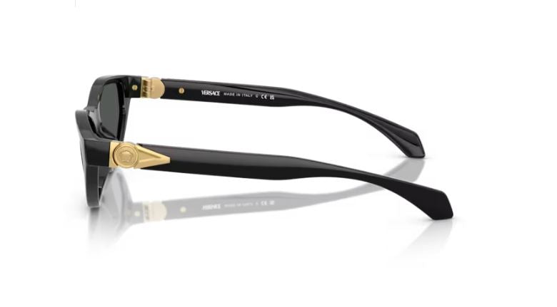 VERSACE VE4491U GB187