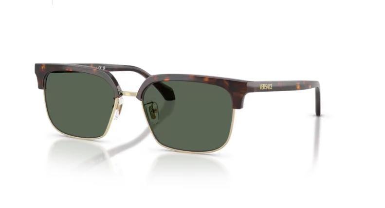 VERSACE VE4494D 10871