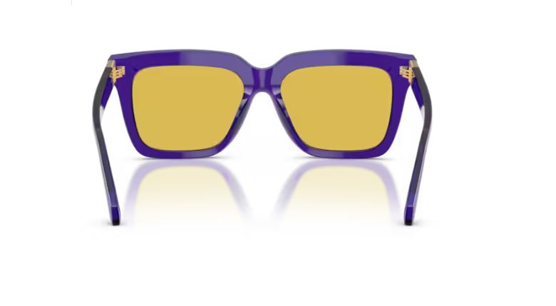 VERSACE VE4498 554585