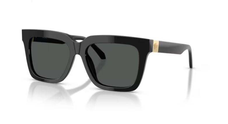VERSACE VE4498 GB187