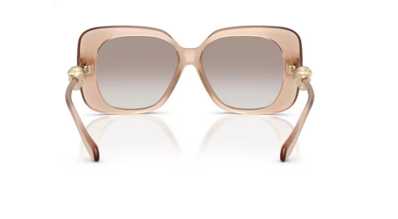 VERSACE VE4499U 55386E