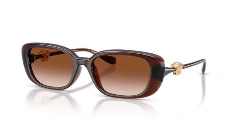 VERSACE VE4504D 533213