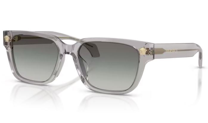VERSACE VE4513D 59311