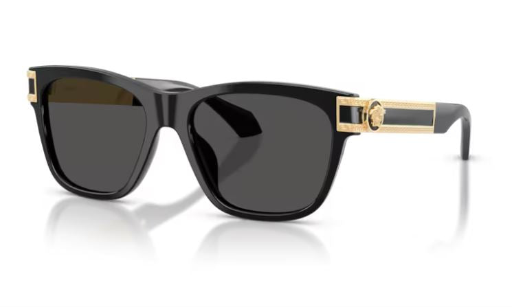 VERSACE VE4527U GB187